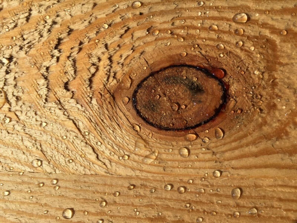 fluit Klacht domineren WOODCON HOUT IMPREGNEREN - Maakt hout gegarandeerd waterafstotend